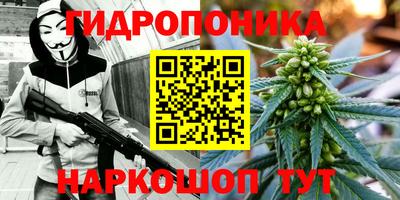 дурь Новозыбков