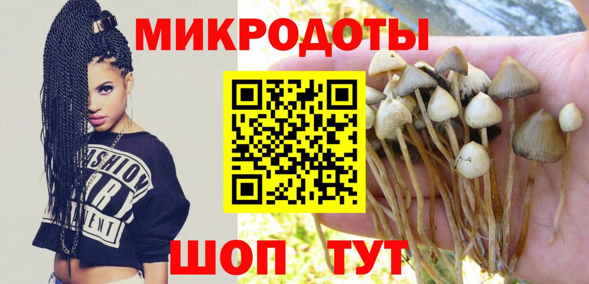 Псилоцибиновые грибы ЛСД Торжок